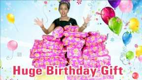 My Birthday Gifts | Best Surprise Ever | Miss Aaghnya Kumar Vlogs