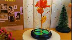 Valentines Day Gifts for her | Birthday Gifts for Women|  Dome Roses Flower  |Wedding Anniversary