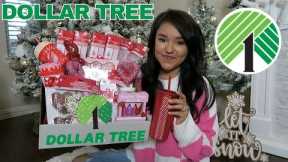 DOLLAR TREE Valentine's Day Haul | NEW Jackpot Finds! Gift Ideas! 2024
