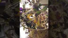 Wine Gift Baskets Available at Gary's! #shorts